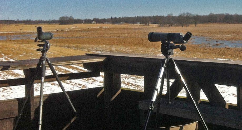 MARS SÖNDAG 12 MARS KL. 6:00-11.00 Utflykt till Fröseke mader och Hinkarydsreservatet Fröseke mader har tidigare odlats och även använts till slåtter.