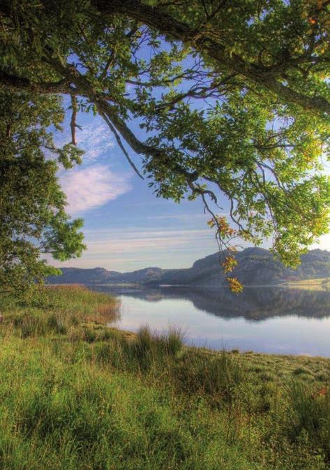 För att öka kunskapen om vad som fanns under vattnet har vi inventerat och värderat olika biotoper i fjorden, till exempel ålgräsängar.