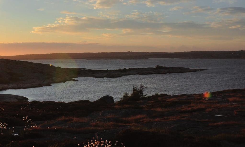 verden der klimaendringer snart kanskje fører til høyere havnivå og ubalanse i økosystemet.