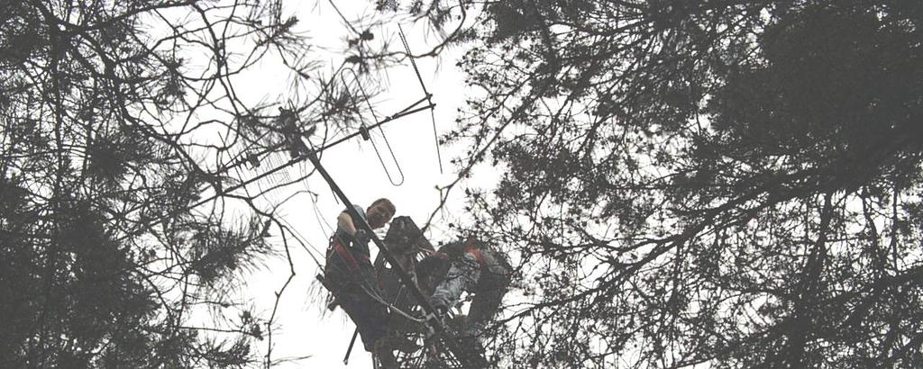 Det gäller att inte vara rädd för höjder. Masten är 24 meter hög och det är tätt mellan trädgrenarna. Som hiss fungerar en ryggsäck.