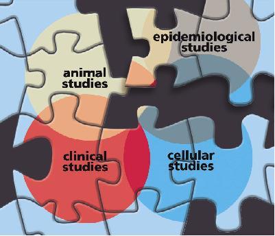 Scientific evidence Information from different types of research