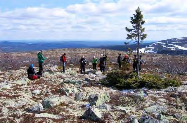 Fulufjället och