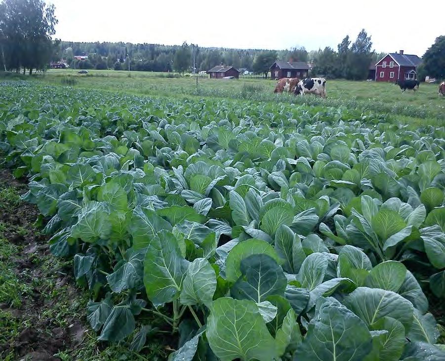 Varför?