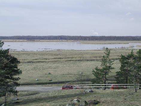 Inventeringsområdet i Rysjön efter senaste restaureringen. Foto: Jan Sondell. En liten populationsökning skedde omkring 1987 när den nyrestaurerade Rysjön hade funnits till under fem år.