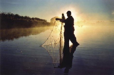 Provfiske av ruda sker årligen i inventeringsområdet. Vigg och brunand påverkas dock inte av variationer i fiskförekomsten. Foto: Anna Pettersson.