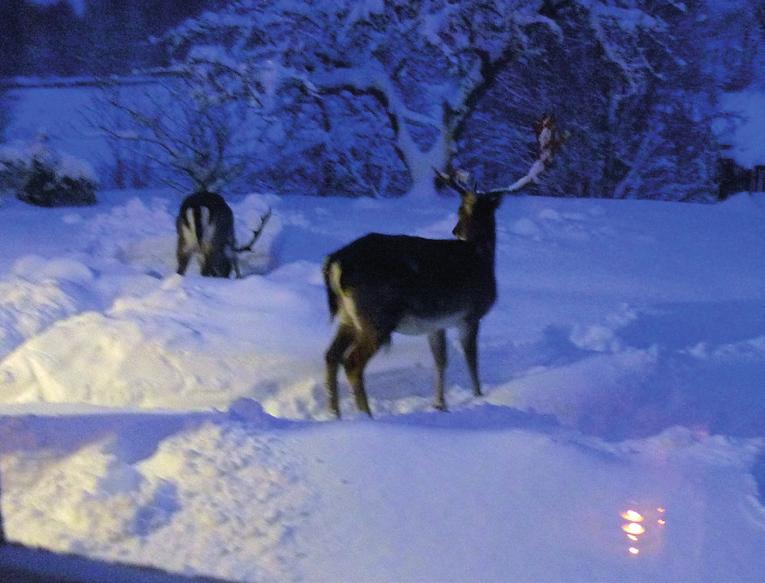 Forts. från föregående sida formella delandet tar ett år till! Det första inriktningsbeslutet togs för två år sedan. Inte är vi alltid så snabba i kyrkan, men å andra sidan jobbar vi på lång sikt.