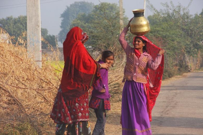 Foto: K Borneland Swed-Asia Travels i Rajasthan Nationalparken Ranthambhore anses som ett himmelrike för de vilda djuren och omfattar 400 km2 yta med torr lövskog, sjöar,