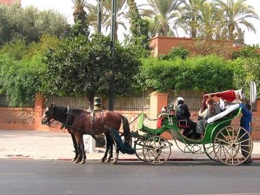 Dag 5, onsdag 8 november: Marrakech Ourika - Marrakech Frukost på vår riad varefter vi ska ut på landsbygden till den bördiga floddalen