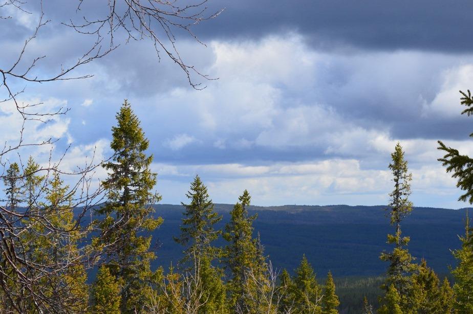 Skog norr Drevfjället ÄLVDALEN HEDEN 52:1, DEL AV Ca 277 ha i ett skifte varav 186 ha produktiv skogsmark söder om Storbosjön med ett virkesförråd om ca 6 950 m³sk. Möjlighet till Jakt och fiske.