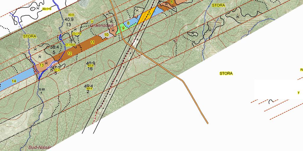 Gallringsskog Föryngsringsavv-skog