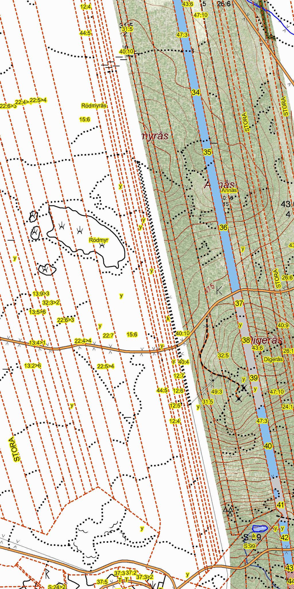 Huggningsklass SKOGSKARTA Plan