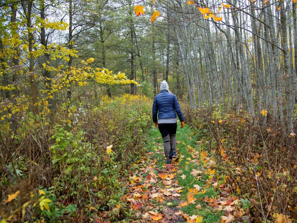 Definitioner Outdoor = utomhusupplevelse Naturturism Naturturism omfattar människors aktiviteter när de vistas i naturområden utanför sin vanliga omgivning.