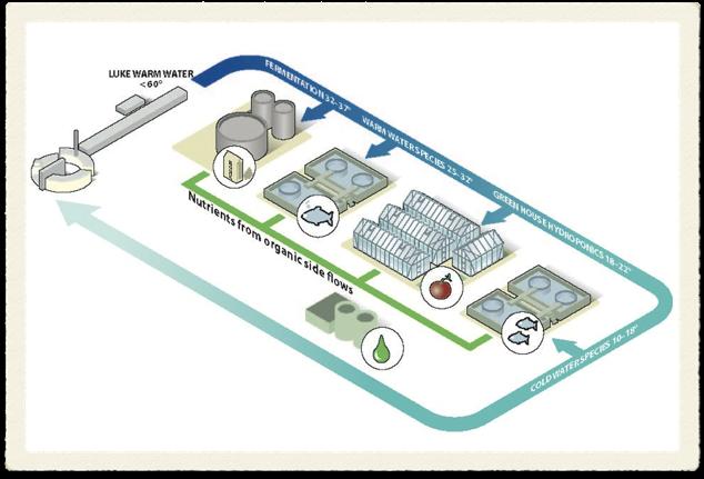 Industrial Symbiosis SURPLUS HEAT FOR HEALTH We want to use surplus heat and other residual flows from our