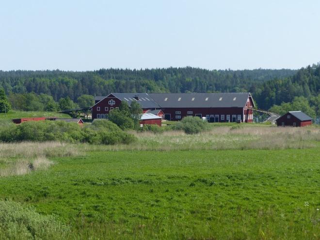 Samrådshandling Sida 135 av 139 Bild på Långdunkers ladugård som landmärke Bild på Sparreholms allé Jälund-Sörby mm - Odlingslandskap med fornlämningsmiljö Flen nr K18.