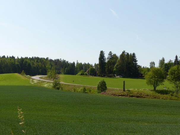 Samrådshandling Sida 136 av 139 området finns ett yngre järnåldergravfält som visar att sätesgården föregåtts av en förhistorisk bosättning och en fornborg, Lagmansö skans, med utblick över den forna