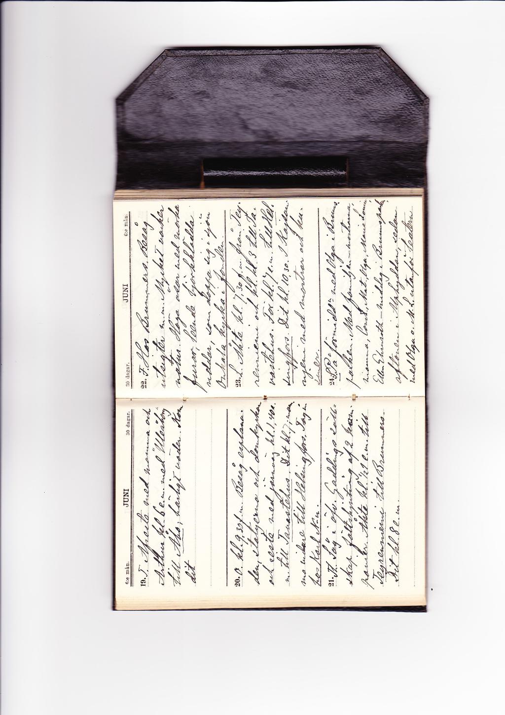 Carl Ottos dagbok 1894
