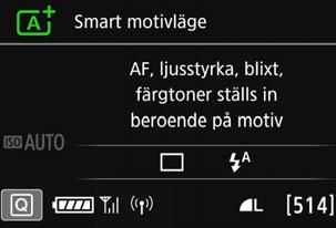 Grundfunktioner och inställningar Status för trådlös anslutning Du kan kontrollera anslutningsstatusen på kamerans LCD-skärm och LCD-display.