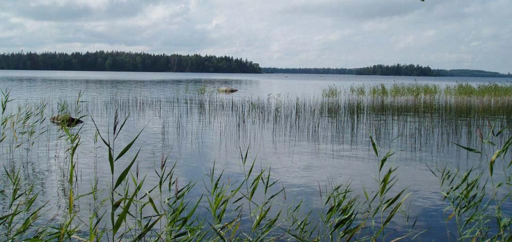 Åsnen 8 ALcontrol Resultat och diskussion Minskad utbredning av vattenväxter kan få konsekvenser för vattenkvaliteten En minskad utbredning av makrofyter i Åsnen kan få vidare konsekvenser för