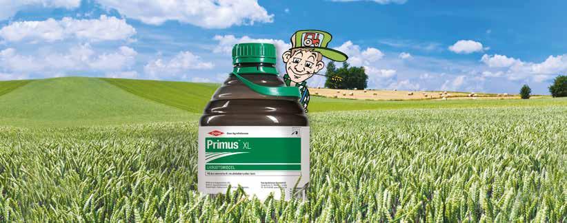 Primus TM L om du vill komma igång tidigt Effektiv bekämpning av örtogräs i stråsäd Primus TM L är en säker produkt för örtogräsbekämpning i höstsäd på våren.