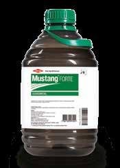 Mustang Forte är en effektiv produkt för användning på våren i både höst- och vårsäd som effektivt bekämpar allt örtogräs inklusive blåklint, snärjmåra, åkerbinda, målla baldersbrå, viol, veronika,