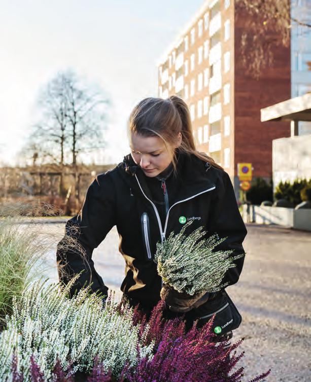 Vi värnar om miljön, såväl i vår närhet som i ett systemperspektiv. Det handlar om att ta hand om de tillgångar vi har.