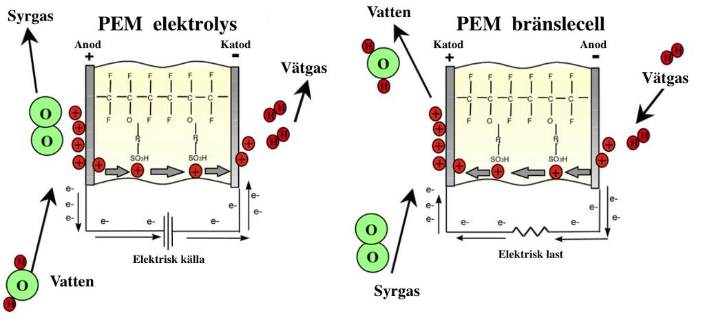 Figur 3.4: Schematisk figur över PEM cellens struktur och reaktionsflöde med en viss sorts elektrolyt membran [40]. Elektrolys Bränslecell 2H 2 0! O 2 +4H 2 (3.14) 4H 2 + O 2! 2H 2 O (3.