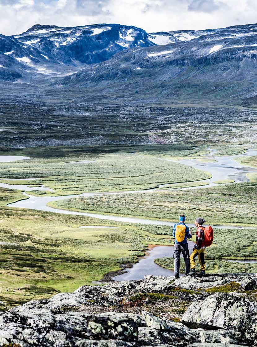 KUNGSLEDEN MED STF