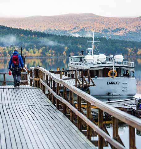 KVIKKJOKK TILL AMMARNÄS Denna tur passar den som söker avskildhet, vackra landskap och storslagna vyer. Vinterleden är dock inte markerad i alla delar.