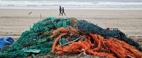 vår kampanjansvariga för Sea Change. Oönskad fiskeutrustning återvinns Fiskare runt Englands sydostkust skyddar tusentals havslevande djur.