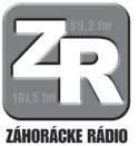 HC Plzeň 1929, Crunch de Syrakúzy, Metallurg Magnitogorsk (majster Ruska 2004), HC Karlove Vary, Nechtechimik Nižnekamsk, Hamburg Freezers, Malmö Redhawks, AIK Skelleftea, HC Ústí nad Labem, Duklu