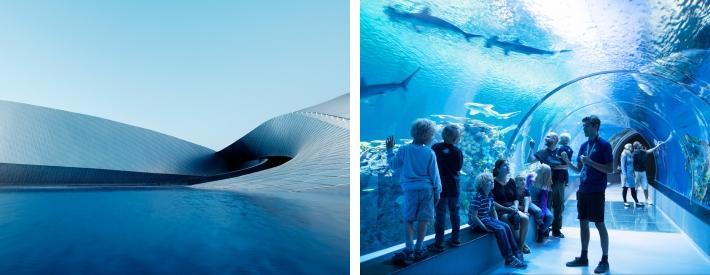 Den Blå Planeten har vatten på alla sidor som ska ge besökare en känsla av att vara under havets vattenyta. Den nya byggnaden består av fem "armar" som går ut från centrum.