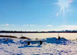 skydda MOT STARKT bländande sol hålla VÄRMEN UTE Av precis samma anledning är markisen det främsta sättet att skydda mot starkt bländande sol som vill leta sig in genom fönstret