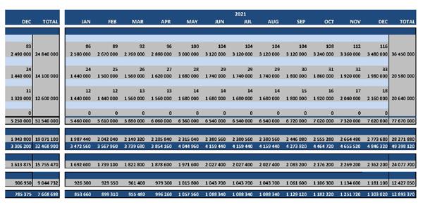 clients Revenue large clients OTHER INCOME Other income TOTAL REVENUE COGS TOTAL