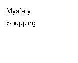 Mystery Shopping