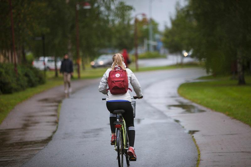 A r b e t s l i v e t 1-3 månader 18% Mer än 3 månader 12% 1 månad 12% Innan examen 58% Tid till första anställning 58% av de svarande fick sin första anställning redan innan de hade tagit examen.