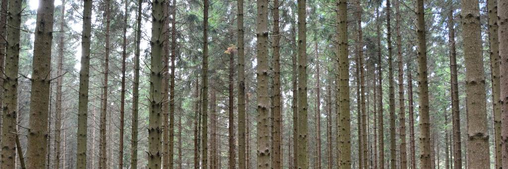 Tillståndet i skogsmiljön i Hallands