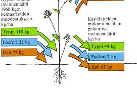 kg/1000 kg fröskörd => ca 30