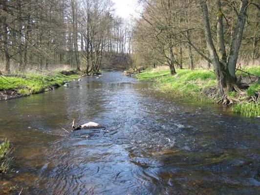 längs huvuddelen av sträckan. Brååns bredd varierar mellan 4 och 14 m, medelbredden ligger på 8,5 m (Eklöv 2). Telemetri- och Floy-tag märkt havsöringsmolt och ål har i Bråån (U5, Figur 2.1, Tabell 2.