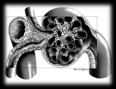 IMMUNOLOGI (Carl Johan Sundberg) 9. Nämn minst tre olika typer av smittämnen (mikroorganismer) immunsystemet måste bekämpa.