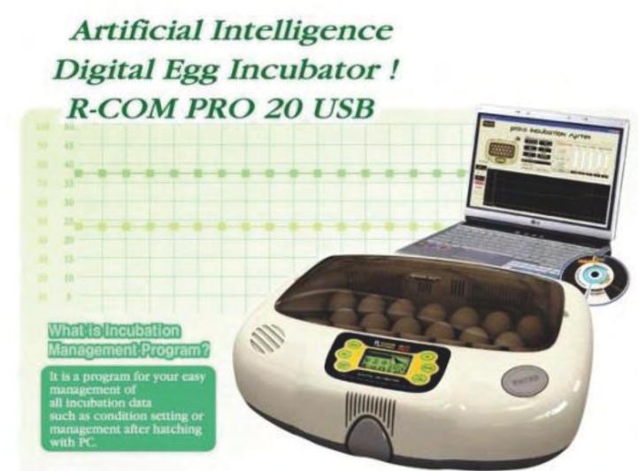 Intelligence Digital Egg