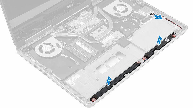 Ta bort högtalarna 1. Följ proceduren i Innan du arbetar inuti datorn. 2. Ta bort: a. batterihöljet b. batteriet c. kåpan d. hårddisken e. tangentbordet f. handledsstödet 3.