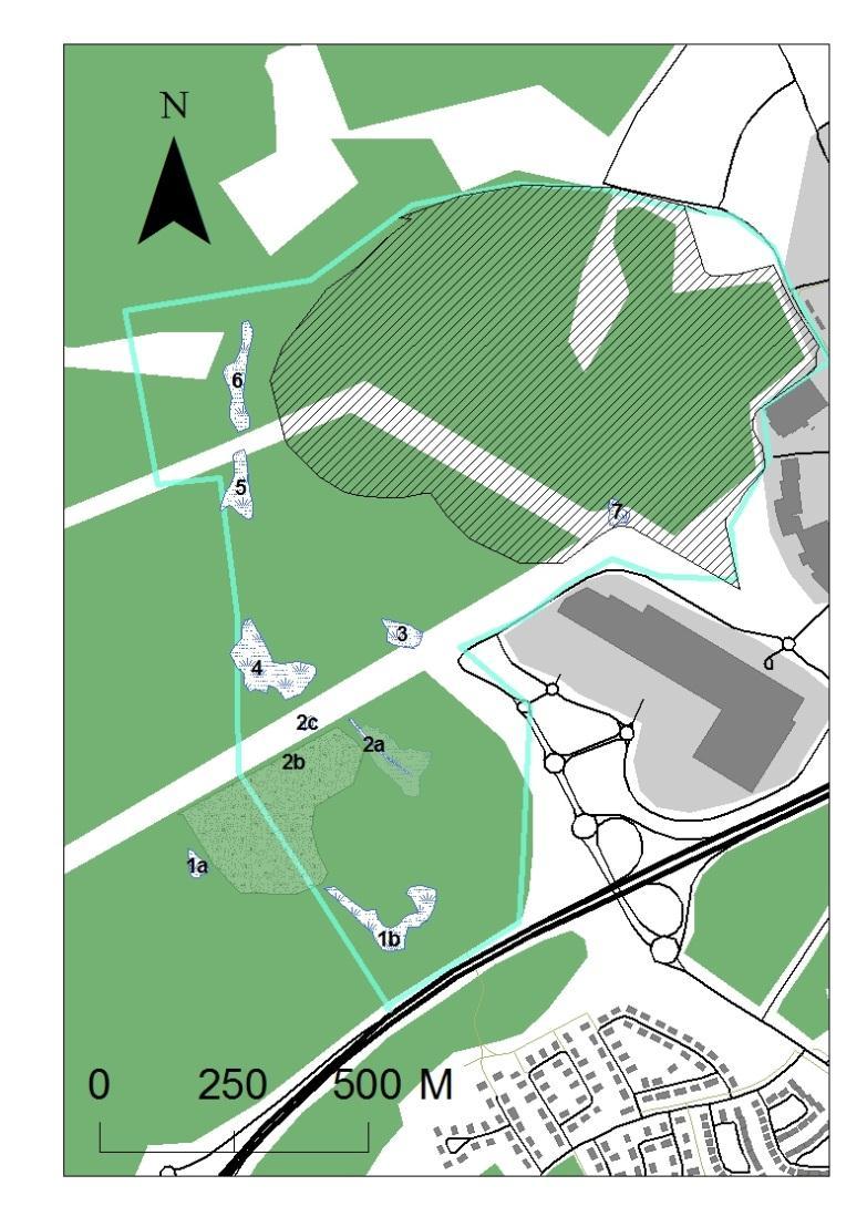 Bedömning av: Områdets våtmarker Våtmarksområde tillhörande område 1 var delvis övertäckt av schaktmassor och område 2 torrlagt troligtvis med hjälp av ett grävt dike som benämns som område 2a.