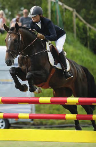 CUPER 1068 Är avlad på prestation i högsta klass för att kunna tillföra den moderna sporttypen och lättheten man söker. Holsteinare, född 2000, 166 cm. Cuper godkändes 2002 i Neumunster, Holstein.