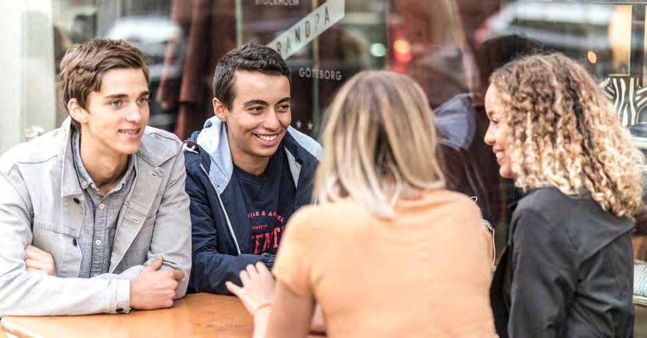 studiehandledningen Studiehandledningarna är skrivna av författarna och innehållet kan variera.