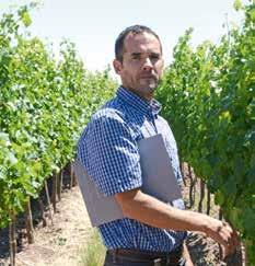 Text och foto: Rickard Albin Vi fick först en trevlig promenad i vingården med Guillermo Garcia Zamora som är vingårdsansvarig.