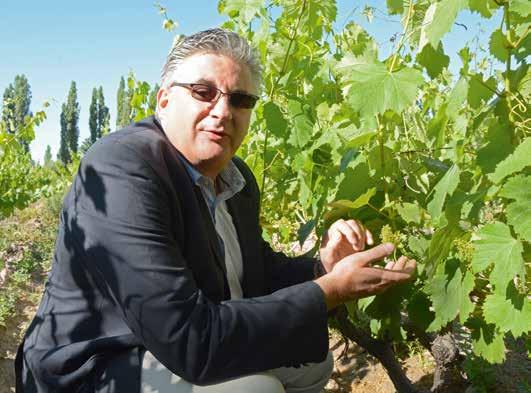 Achaval Ferrer Vårt första vinbesök i Mendoza var hos Achaval-Ferrer där vi välkomnades av VD:n och chefsvinmakaren Silvio Alberto.