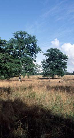 helhetsbedömning.