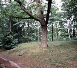 I söder är gränsen mera diffus där området övergår i Södra mellanbygden. Berggrunden består huvudsakligen av gnej-ser med inslag av basaltkupper och diabasgångar.