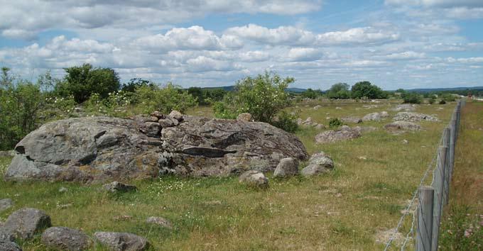 Jordmånen är instabila brunjordar samt podsoler med inslag av brunjord. Skogstäcket domineras generellt av granplanteringar med inslag av bok, men i lägre delar är det boken som dominerar.