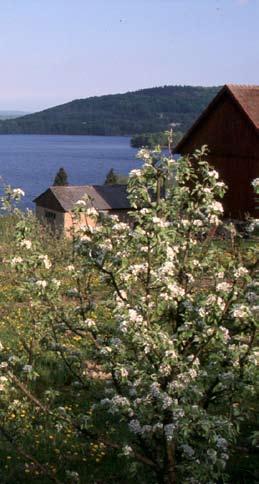 helhetsbedömning.